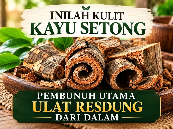 Kapsul tradisional untuk penjagaan resdung